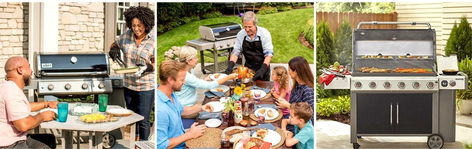 WEBER Shop -WEBER Shop Weber Spirit vs Genesis